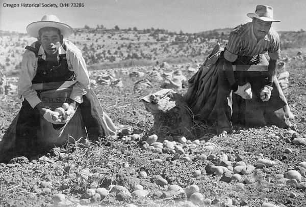 A Tribute to Bracero Workers in Central Oregon